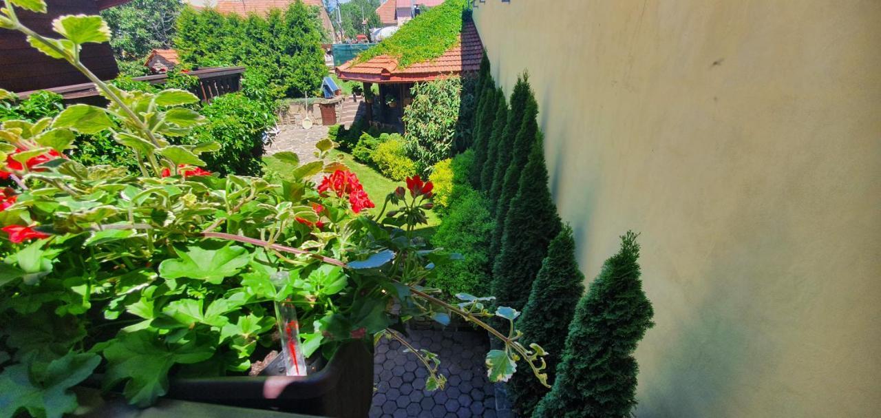 Ubytovanie U Babky Veľký Slavkov Kültér fotó
